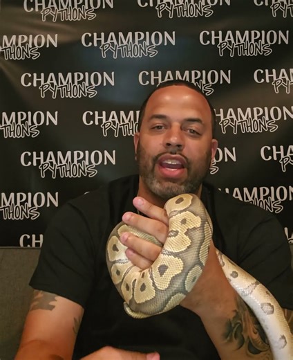 Where Should You Buy A Snake?