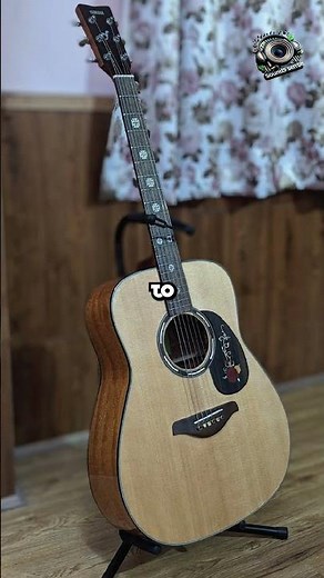 Yamaha FG800: Best Budget Acoustic Guitar (Quick Look)