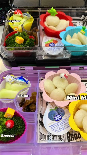 Mini Idli Bento Box Ideas for Kids' Lunch