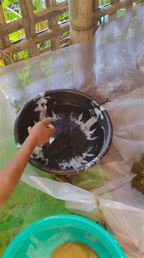 DIY Betta fish tank 🐠🐠🐠