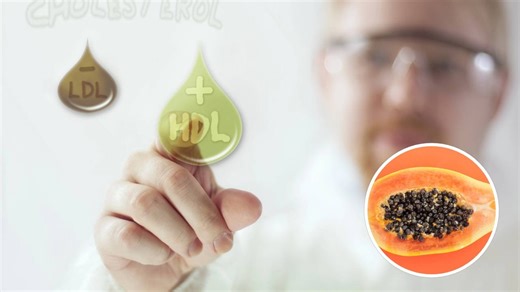 Fruta tropical é destaque em estudos sobre colesterol e saúde cardíaca