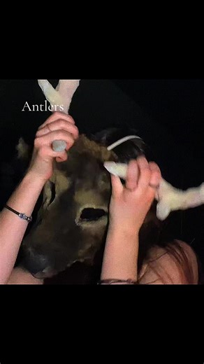 #elk #therian #trend #fyp #foryou | Elk