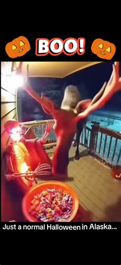 Moose vs Halloween Decoration Gone Wrong in Alaska 😱🎃💀