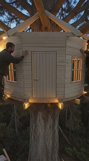 Building a Treehouse Cabin Around a Tree 🌳| Incredible Construction Timelapse #timelapse #satisfying