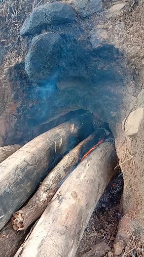 4.5K views · 103 reactions | Dryer ug copras | Bayawan Viners | Facebook