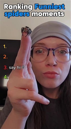 ranking Funniest spiders moments 🕷️