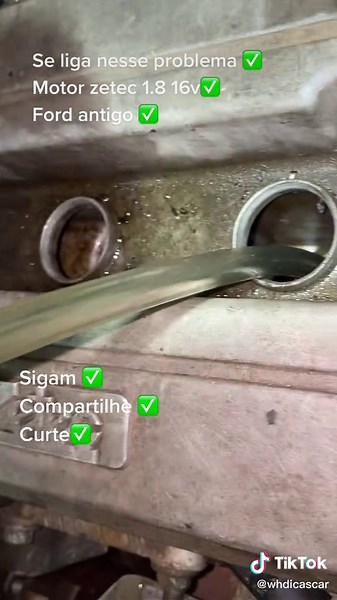 Problemas com Motor Zetec 1.8: Procedimento Revelador