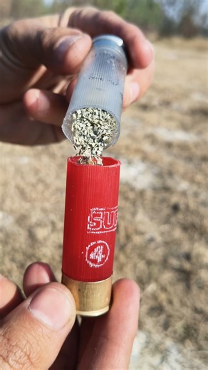 12 Gauge Ammo Up Close!