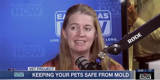 Vet Project: Mold may affect pets’ health