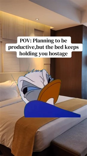 Manbir Dhillon on Instagram: "Productive era loading connection lost, returning to bed🙈🫣#Meme #MemeCut #fyp #foryoupage #fypviralシ"