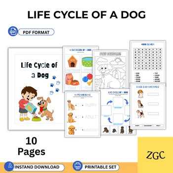 Life Cycle of a Dog Activities | Pet Unit Worksheets | Preschool Kindergarten