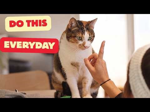 Do These 7 Things Daily And Your Cat Will LOVE You