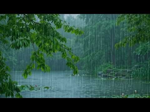 Gentle Rain Pouring on a Forest Pond | Deep Sleep & Stress Reduction