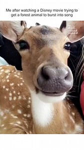 25K views · 587 reactions | doe, a deer, a female deer... 歷 #Deer #Funny #Music #Disney #Ukulele #WildAnimals #Cute | Fur Family | Facebook