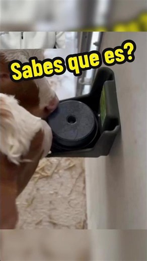 Dime si lo habías visto alguna vez ese en casi…