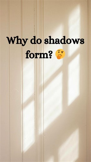 Why Do Shadows Form? 🌑 (Simple Science!) #shorts