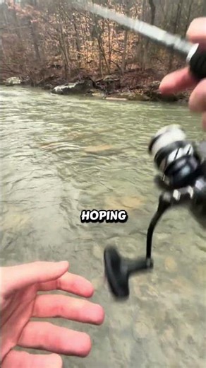 Pa trout fishing #outdoors #pafishing #trout #troutfishing #fishing #fishinglife