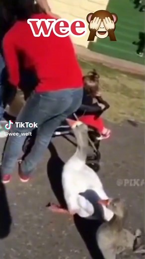 Hilarious Fanny Moments Compilation