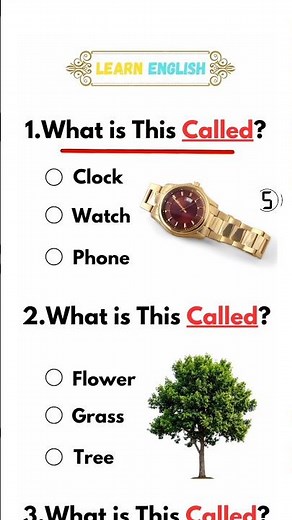 What Is This Called? English Quiz | Guess the Object | Easy Vocabulary Quiz #shorts