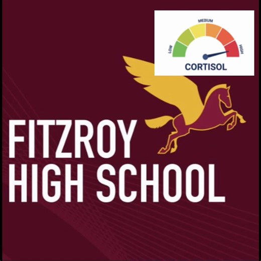 Collingwood College vs Fitzroy High: A School Rivalry