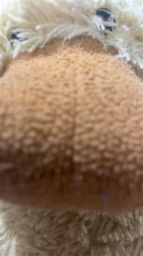 Chicks a bumbelbee 🐝