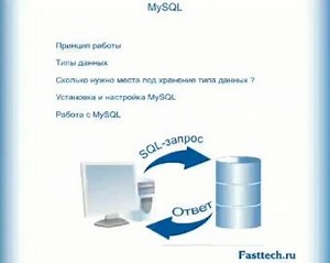 11 mysql