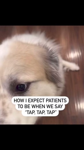 86K views · 987 reactions | “Tap tap tap” training video for patients | Jerry RDH | Facebook