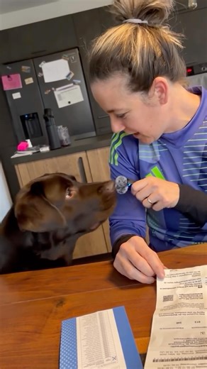 CSU Herzogenaurach | 🗳️📬 Wie beantrage ich Briefwahl? @sarah.reigel und Lucky erklären euch wie das geht: Du hast 4 Möglichkeiten, deine Briefwahlunterlagen zu... | Instagram