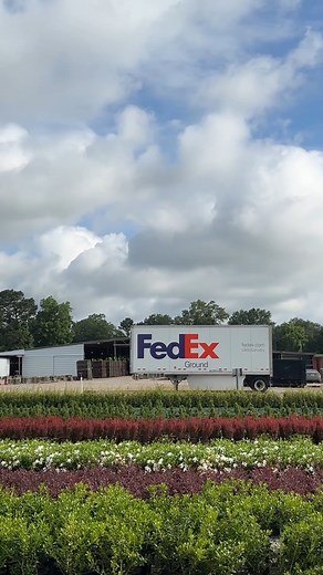 Field is full! 🚛 We've got hundreds of plants ready to ship to finish out your fall planting. | PlantsByMail.com