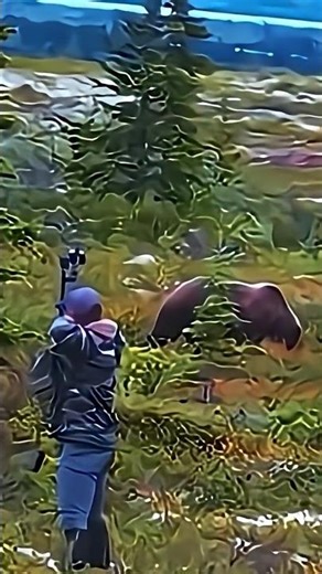 Bear Hunting with Archery – Perfect Bow Shot! 🏹🐻#hunting#archery#wildlife