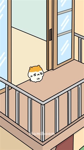 Hamiboom | hami's monday morning🐹🧱🔨 #hamiboom | Instagram