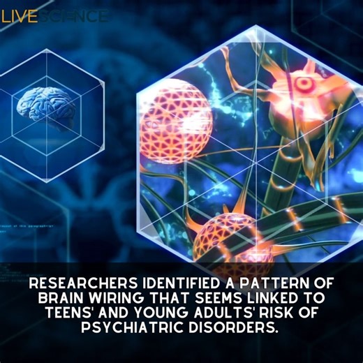 Researchers identified patterns of brain wiring that seem to be linked to a person's risk of having multiple psychiatric disorders. Learn more 👉 https://trib.al/U666bjf | LiveScience