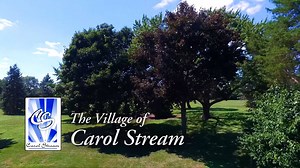 11K views · 121 reactions | And another 90 second edit from our promotional video. | Village of Carol Stream - Government | Facebook