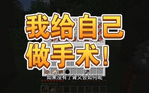 这里有你们想看的模组介绍！！！我给自己做手术！我的世界胸腔模组介绍