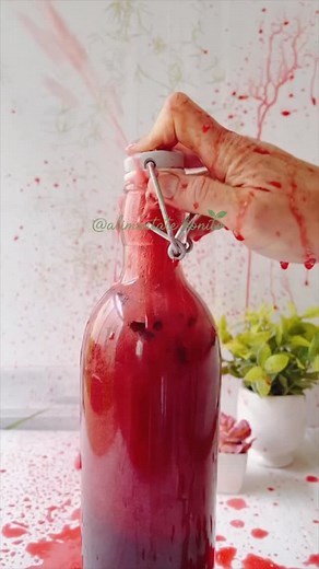 ✨Hoy te enseño cómo preparar un refresco natural de kéfir de agua ✨ Una bebida probiótica, burbujeante y deliciosa que ayuda a mejorar tu digestión, cuidar tu microbiota y mantenerte hidratada de manera saludable 🫧💚 📌 Receta (botella de 1 L): 8–10 flores de jamaica 🌺 1 cda de miel de abeja 🍯 Rellenar con kéfir de agua hasta 1 L 🫗 🌡️ Fermentación: Fermentar en un lugar tibio y oscuro entre 1 y 3 días. Revisa el nivel de gasificación cada 12–24 horas y abre con cuidado para liberar presión 