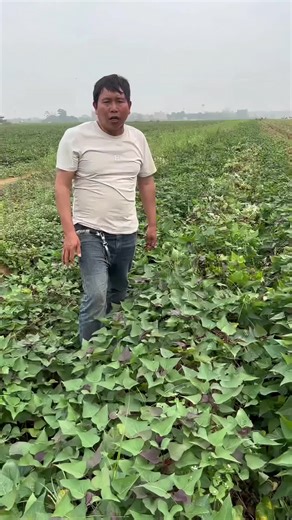 Delicious Fruit Recipes You Must Try