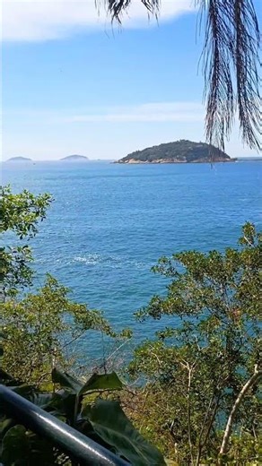 Trilha do morro da Urca no Rio de Janeiro. #creatorsearchinsights #urca #trilha #bondinho #rj