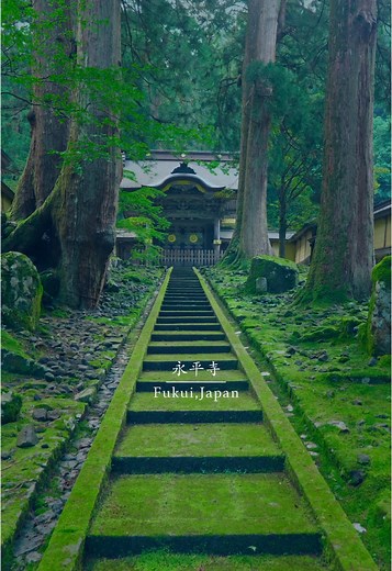 永平寺の静寂と禅の心