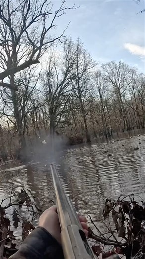 Full Hunt is Live on the Channel! 🔥 #hunt #hunting #waterfowlhunting #duckhunting #birdhunting