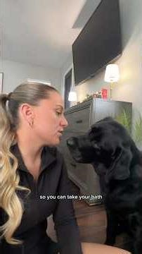 bath time + weightloss routine #dog #dogshorts #dogsofyoutube #labrador #dogs