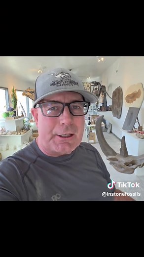 Experience Fossil Discovery in Wyoming's Green River Formation