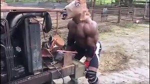 68K views · 211 reactions | GymBuddy Workout on Reels | Facebook