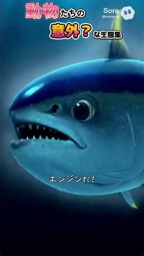 動物たちの意外な？生態集 47 #ウミヘビ #クロマグロ #雑学 #動物 #ペット #生態 #shorts