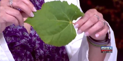 The Science Museum Botany Experiment