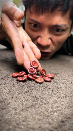 Tarzan the rescuer, herding cute baby millipedes #shorts #millipedes