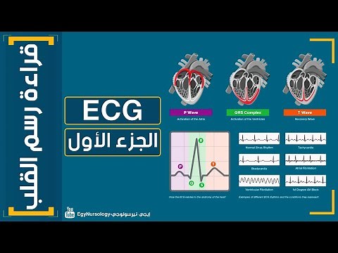 شرح قراءة رسم القلب | (ECG) الجزء الأول - EgyNursology