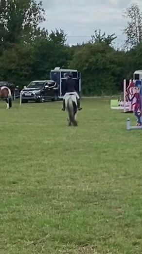 Exciting Show Jumping Moments with Stunning Horses