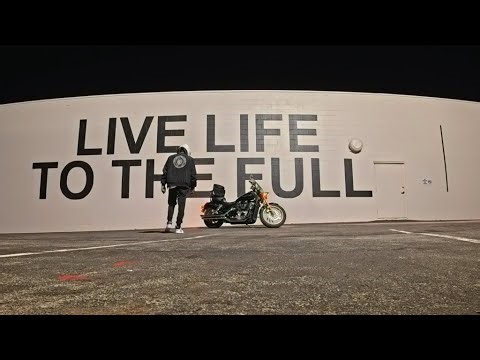 Night Cruise Live Life To The Full