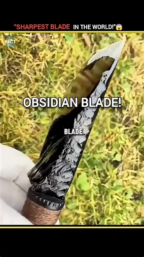 Sharpest Blade in the World 🔪 | Obsidian Blade Facts