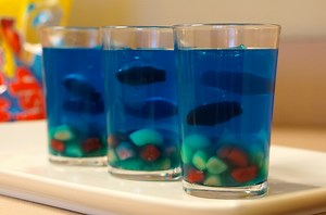 How to Make a Mini Jello Aquarium - We're Calling Shenanigans